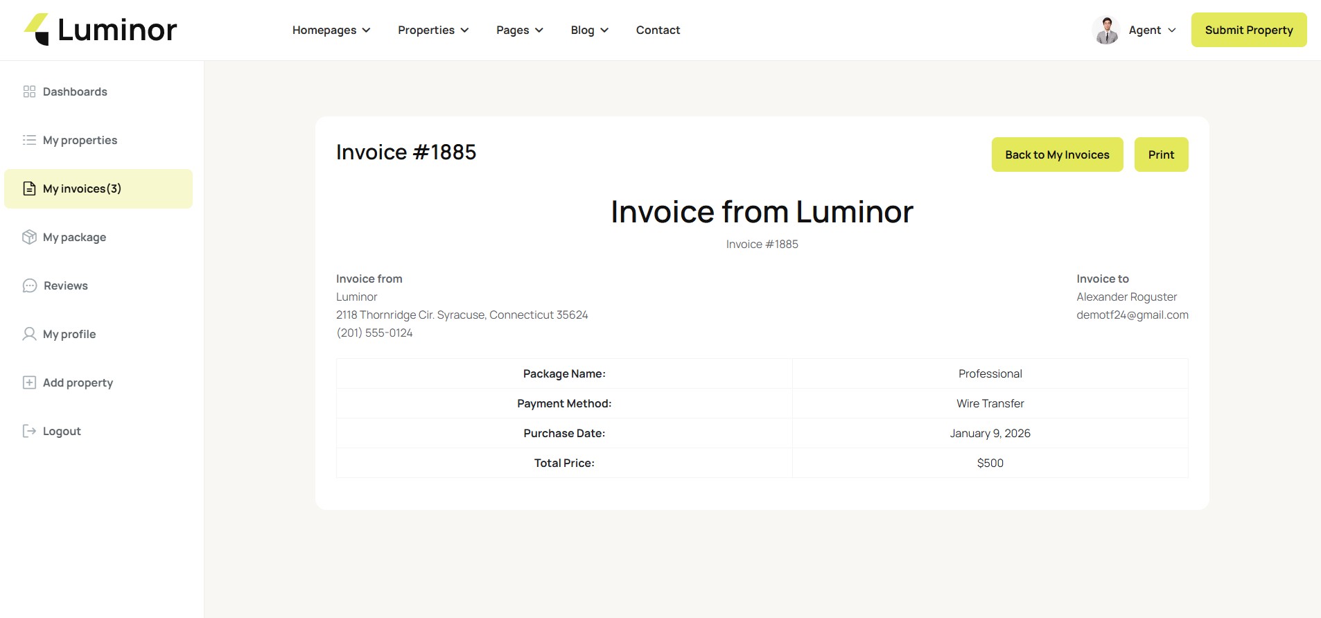Invoice details screenshot 2