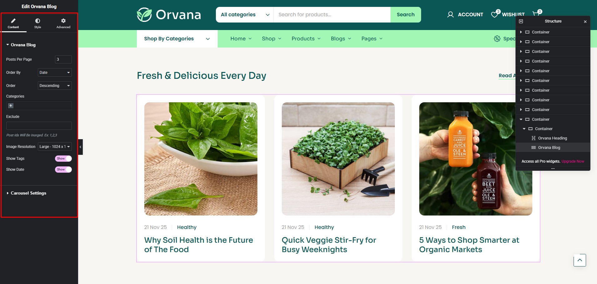 Orvana Blog Customize