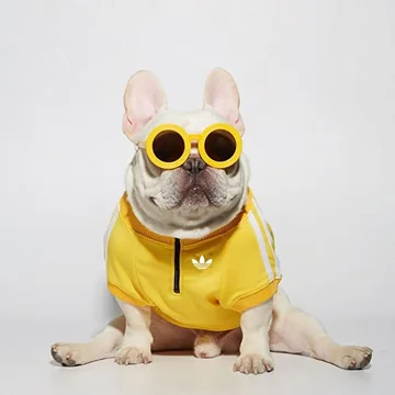 pet1