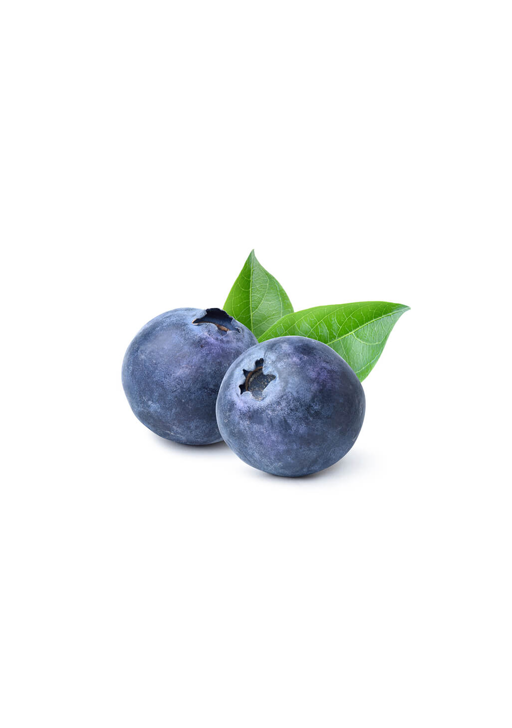 Blueberry